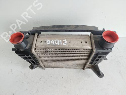 Intercooler RENAULT CLIO III (BR0/1, CR0/1)  | BP28715010M30 