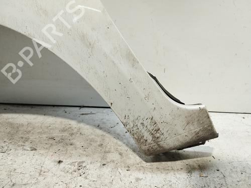 Left front fenders HYUNDAI i20 I (PB, PBT)  | BP21531224C41 