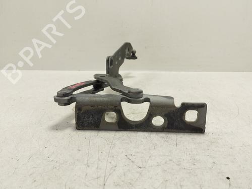 Hinge/Door check strap BMW X5 (E53) 3.0 d | BP22379493C146 