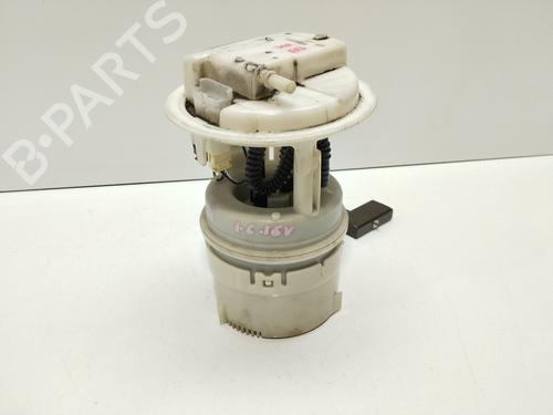 Fuel pump PEUGEOT 307 SW (3H) | BP30744239M76