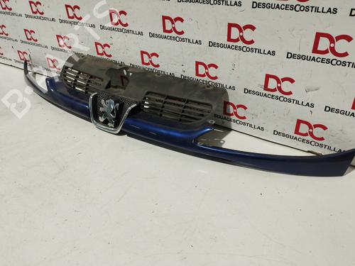 Grille PEUGEOT 206 Hatchback (2A/C) 1.6 16V | BP20133212C40 