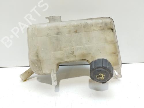 Used Expansion tank RENAULT GRAND SCÉNIC II (JM0/1_) 1.9 dCi (JM15) (110 hp) 17800762
