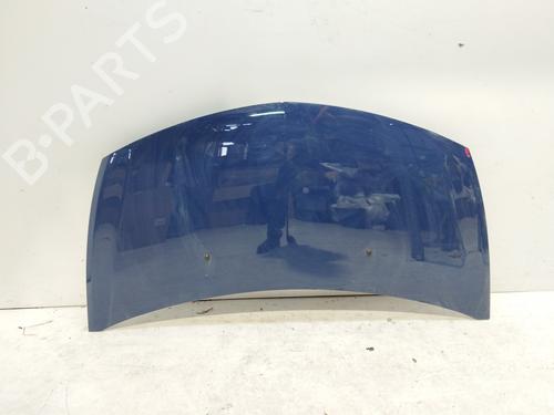 Used Hood RENAULT CLIO III (BR0/1, CR0/1) [2005-2014]  28715018