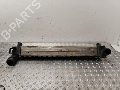 Used Intercooler RENAULT MEGANE III Hatchback (BZ0/1_, B3_) [2008-2025]  24849629