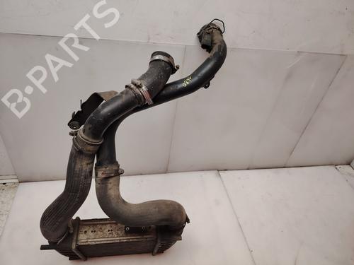 Intercooler NISSAN NV200 / EVALIA Bus | BP37645386M30 - Image 2
