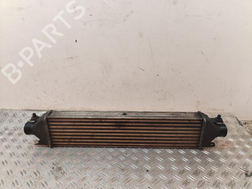 Used Intercooler FIAT DOBLO Cargo (263_) 1.3 D Multijet (90 hp) 30943596