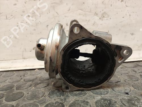 Egr VW GOLF V (1K1) | BP17502911M69