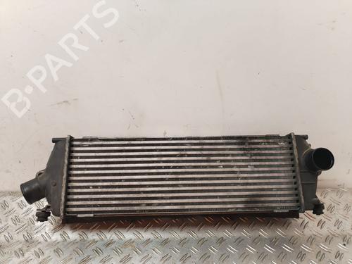 Intercooler NISSAN PRIMASTAR Van (X83) 2.0 dCi 90 (90 hp) 25913852
