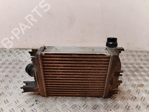 Used Intercooler DACIA DOKKER MPV (KE_) [2012-2021]  30943937
