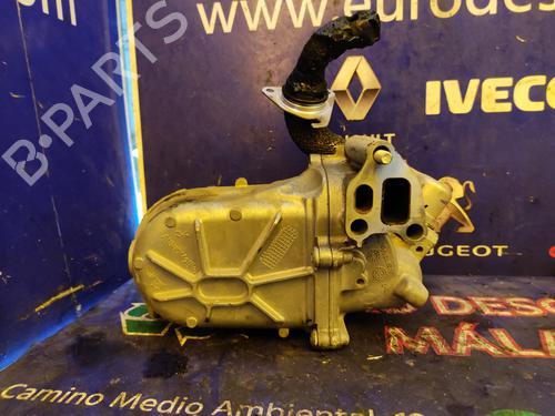 Egr FIAT DOBLO Platform/Chassis (263_) 1.3 D Multijet | BP17508675M69 