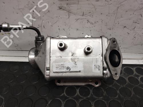 Used Egr FIAT QUBO (225_) 1.3 D Multijet (225AXG1A, 225CXG1A, 225AXG11, 225CXG11) (80 hp) 17503291