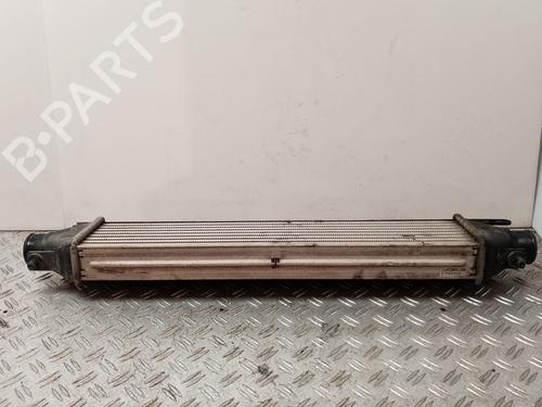 Intercooler FIAT DOBLO Cargo (263_) 1.3 D Multijet | BP30947072M30