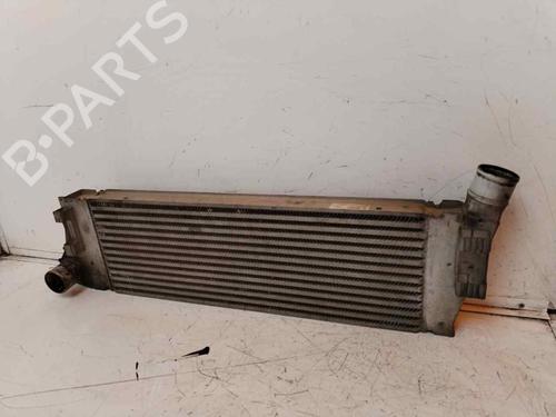 Używane Intercooler / Chłodnica powietrza doładowującego RENAULT MEGANE II (BM0/1_, CM0/1_) 1.5 dCi (BM1E, CM1E) (106 hp) 17859550