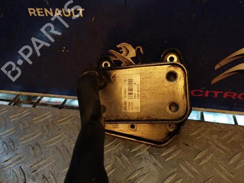 Used Oil radiator MERCEDES-BENZ SPRINTER 3,5-t Platform/Chassis (B906) [2006-2018]  17500099
