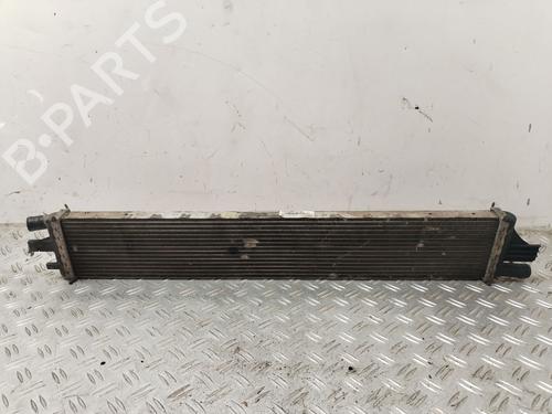 Used Water radiator RENAULT MASTER III Van (FV) 2.3 dCi 130 RWD (FV01, FV10, FV11, FV12) (130 hp) 30944966