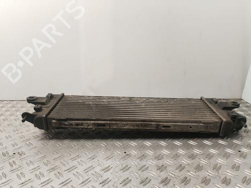 Intercooler NISSAN PRIMASTAR Van (X83) 2.0 dCi 90 | BP30946739M30