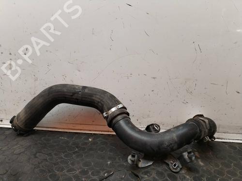 Rør DACIA SANDERO II [2012-2025]  17504699