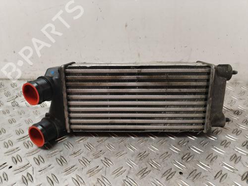 Ladeluftkühler für PEUGEOT PARTNER Box Body/MPV 1.6 HDi / BlueHDi 75 (75 hp) 26140985
