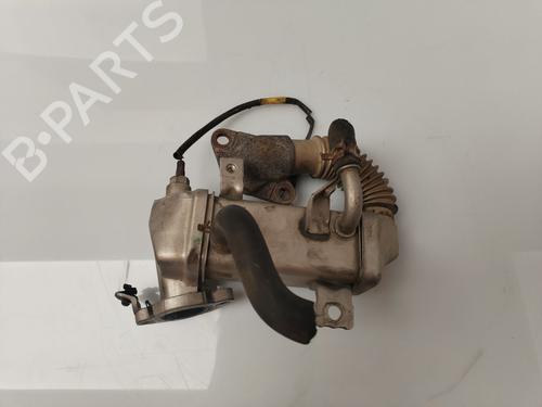 Egr RENAULT TRAFIC III Van (FG_)  | BP30946384M69 