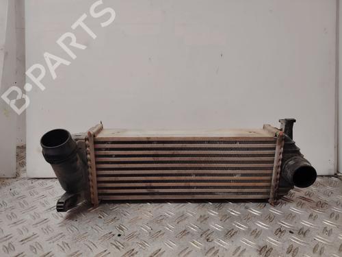 Used Intercooler RENAULT KANGOO / GRAND KANGOO II (KW0/1_) 1.5 dCi 90 (KW05, KW08, KW0G, KW11) (90 hp) 31377692