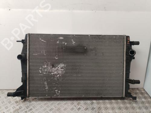 Used Water radiator RENAULT SCÉNIC III (JZ0/1_) [2008-2016]  30947040