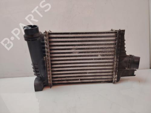 Used Intercooler Intercooler RENAULT CLIO IV (BH_) [2012-2021] 33215906 33215906