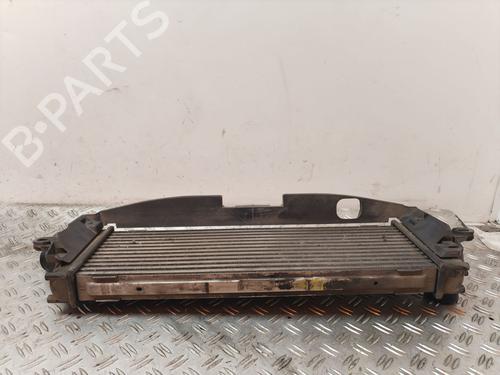 Intercooler NISSAN PRIMASTAR Van (X83) 2.0 dCi 90 | BP25913852M30 