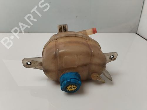 Used Expansion tank Expansion tank CITROËN NEMO Box Body/MPV (AA_) [2008-2026] 36025229 36025229