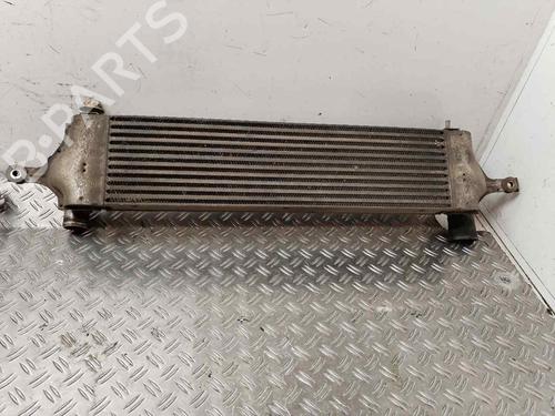 Intercooler NISSAN QASHQAI I (J10, NJ10) 1.5 dCi (103 hp) 19087055