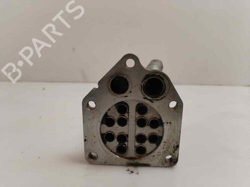 Egr NISSAN QASHQAI I (J10, NJ10) 1.5 dCi | BP19084911M69