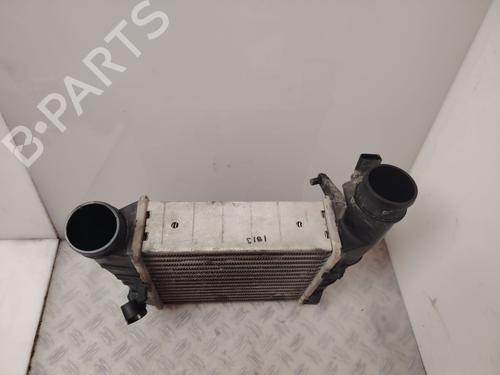 Intercooler SEAT EXEO ST (3R5) 2.0 TDI | BP35794901M30 - Image 2