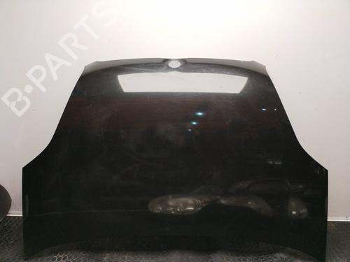 Other FIAT DOBLO Cargo (263_) 1.3 D Multijet | BP17504619O1 