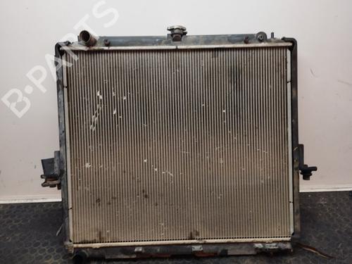 Køler NISSAN PATHFINDER III (R51) 2.5 dCi (174 hp) 17501872