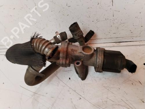 Egr SUZUKI IGNIS II (MH) 1.3 DDiS (RM413D) | BP17859290M69 