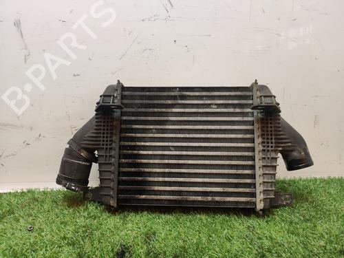 Intercooler NISSAN NT400 CABSTAR (F24M)  | BP17624955M30 