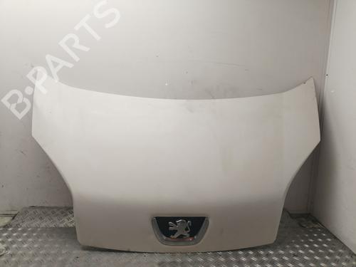 BP30943820C1 main image