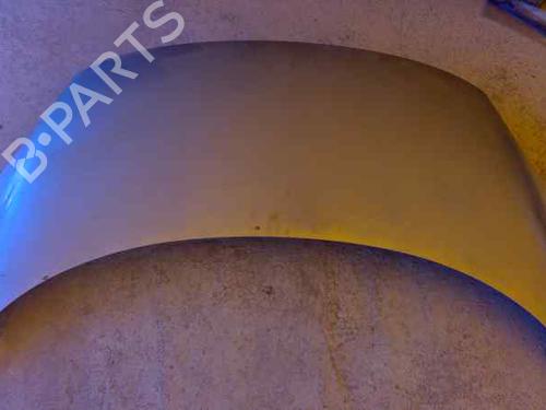 Used Hood RENAULT SCÉNIC III (JZ0/1_) [2008-2016]  17506379