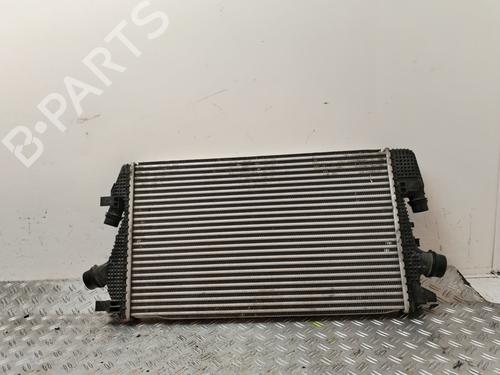 BP24866607M31 main image