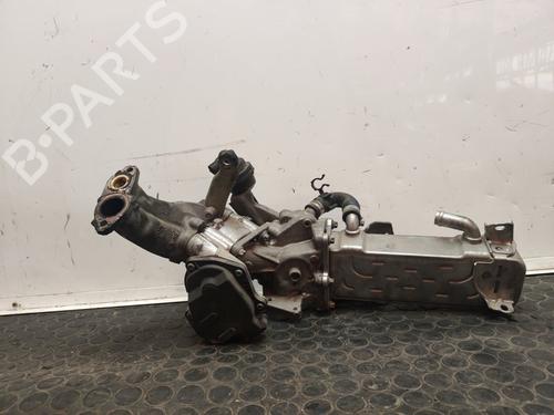 Egr MERCEDES-BENZ SPRINTER 3,5-t Van (B906) 313 CDI (906.631, 906.633, 906.635, 906.637) | BP17502143M69 