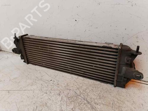 Intercooler OPEL VIVARO A Van (X83) | BP18075713M30