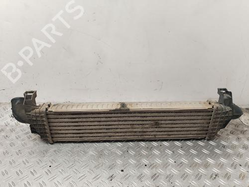 Intercooler VOLVO S40 II (544) 2.0 D | BP30944686M30