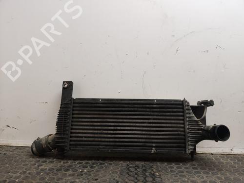 Intercooler NISSAN NAVARA NP300 (D40) 2.5 dCi | BP17501310M30