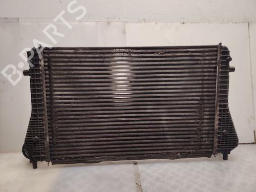 Intercooler Intercooler SEAT LEON (1P1) 1.9 TDI (105 hp) 33833131 33833131
