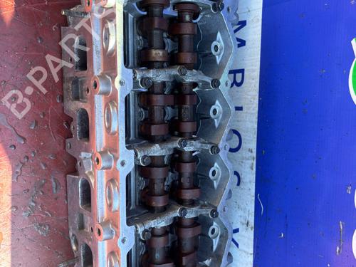 Used Cylinder head NISSAN NT400 CABSTAR (F24M) [2009-2025]  24547955