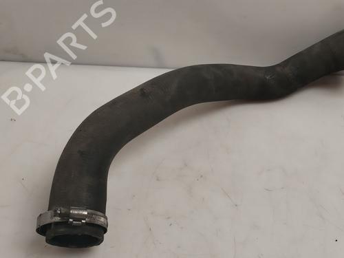 Used Pipe Pipe CITROËN BERLINGO (ER_, EC_) [2018-2026] 36766263 36766263