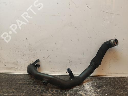 Pipe SEAT IBIZA IV (6J5, 6P1) | BP17502055M125