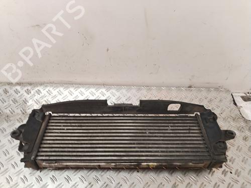 Intercooler NISSAN PRIMASTAR Van (X83) 2.0 dCi 90 | BP25913852M30 