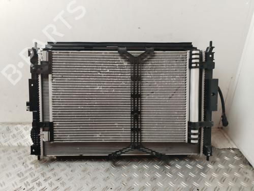Radiator fan CITROËN BERLINGO (ER_, EC_) | BP25608600M35