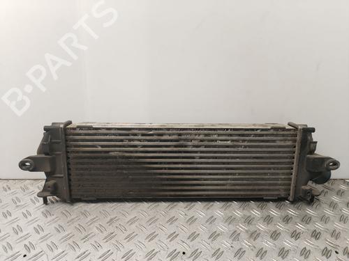 Used Intercooler NISSAN PRIMASTAR Van (X83) 2.0 dCi 90 (90 hp) 30946739