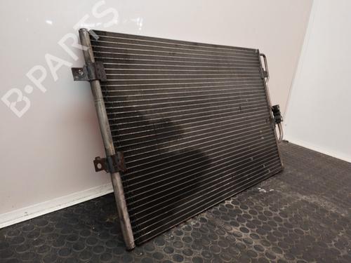 Air conditioning evaporator FIAT SCUDO Bus (220_) 2.0 JTD | BP17500964M109